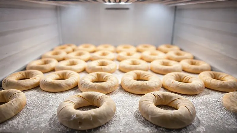 A photorealistic shot of rows of perfectly shaped bagel dough rings resting on a floured baking sheet inside a commercial refrigerator, illuminated by soft, cool light. The dough appears smooth and slightly puffed, indicating a slow, controlled cold fermentation. Professional photography, 8K, cinematic lighting, sharp focus on the bagels, depth of field blurring the background, shot on a high-end DSLR.